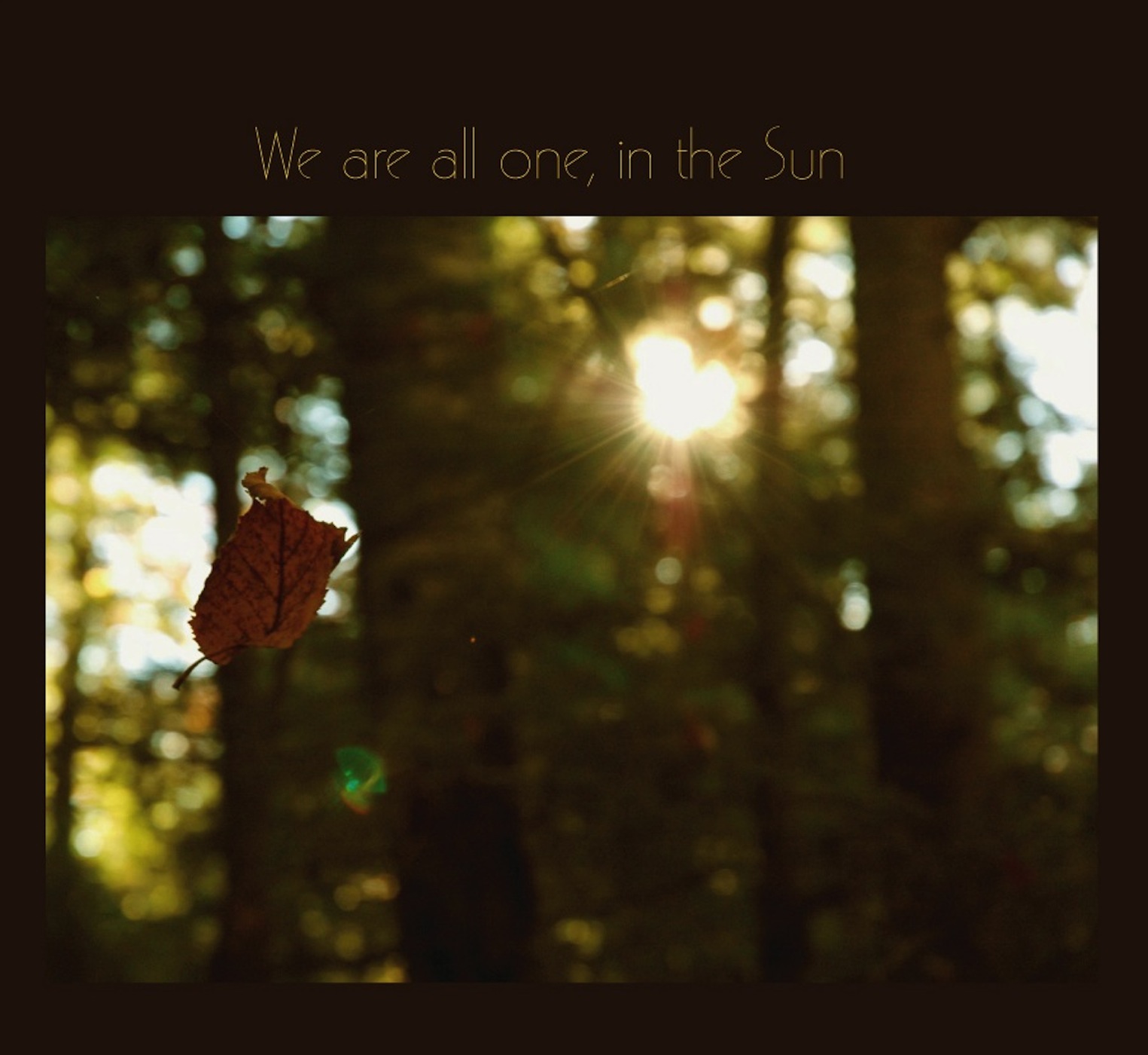 We are All One, In the Sun - a tribute to Robbie Basho_albumcover